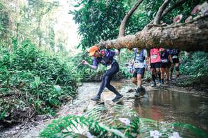 BIB: 
                            <button type="button" onclick="openModal(25463347)" class="btn btn-primary btn-sm float-right btn-popup" data-toggle="modal" data-target=".modal-high-quality">
                        <i class="fas fa-shopping-cart"></i> Add to Cart
                    </button>
                                            <button type="button" onclick="isThisMe(25463347, true)" class="btn btn-success btn-sm float-right btn-popup btn-isme hidden" data-toggle="tooltip" data-placement="bottom" title="นี่คือรูปของคุณใช่ไหม คลิกที่นี่เพื่อเอาเข้าอัลบั้ม">
                        <i class="fas fa-plus"></i> Add to album
                    </button>
                    <button type="button" onclick="isThisMe(25463347, false)" class="btn btn-warning btn-sm float-right btn-popup btn-isnotme hidden">
                        <i class="fas fa-ban"></i> Remove from album
                    </button>